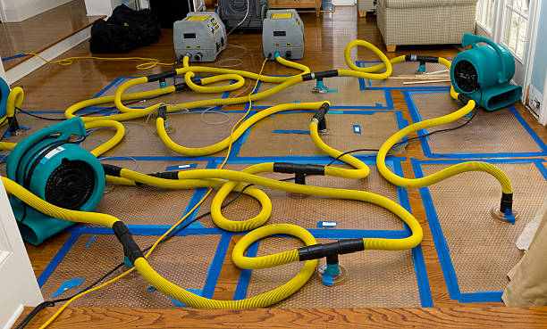 Professional Burst Pipe Water Damage technician working in Pocahontas, AR